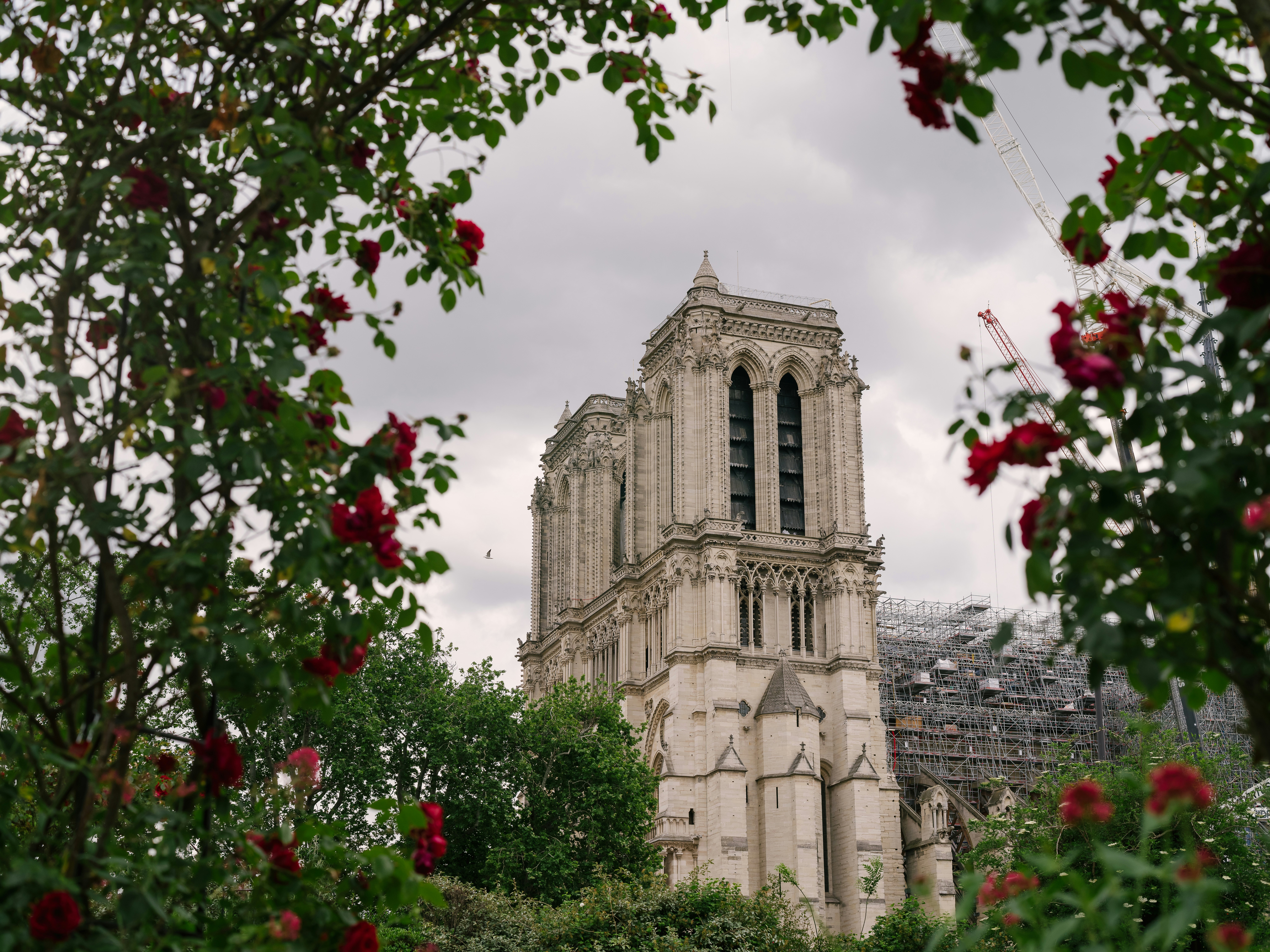 Notre Dame 1